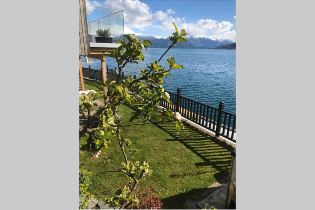 Panoramaresort In Hardangerfjorden Leilighet I Sjokanten Ved Hardangerfjorden For 7 Personer Boat , Sauna,Kajak, Sup For Rent Øystese エクステリア 写真