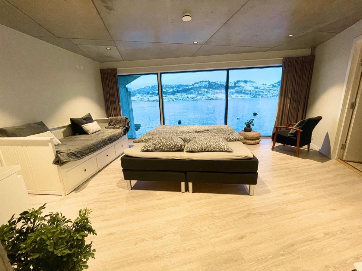 Panoramaresort In Hardangerfjorden Leilighet I Sjokanten Ved Hardangerfjorden For 7 Personer Boat , Sauna,Kajak, Sup For Rent Øystese エクステリア 写真